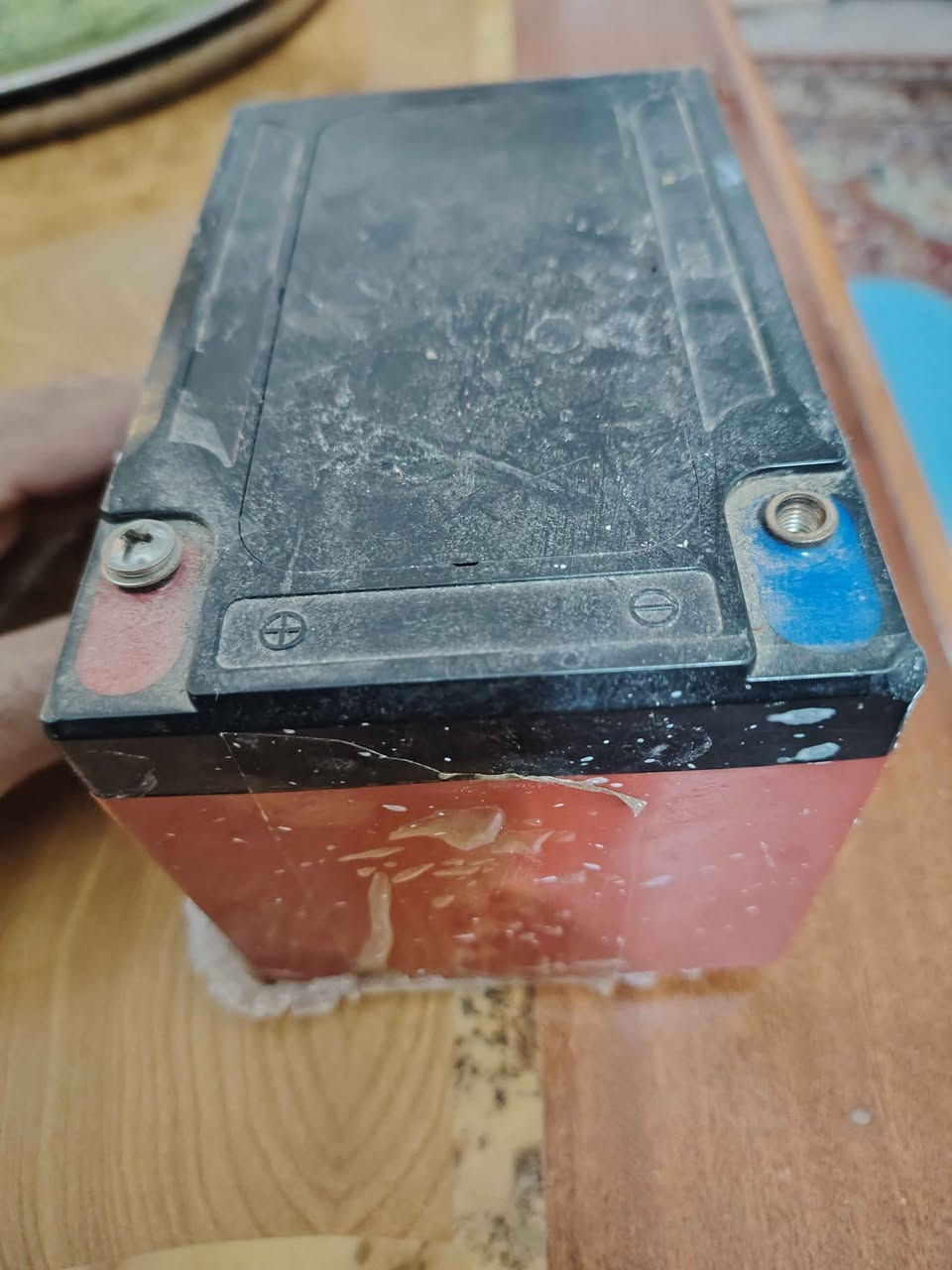 فقاسة بيض للبيع تشيل ١٢ بيضة مال دجاج واذا مال سمان ٢٠ بيضة واذا فسيفس ٩ بيضات
مستخدمها بس مرتين شغالة بعدها جديدة و غراضها كاملة وياها هدية بطارية كبيرة تشغل ساعة اذا ماكو كهرباء مع شاحنة للبطارية
السعر ب٦٥ الف
مكاني نجف حي العسكري 
عندي توصيل داخل النجف و الكوفة فقط اذا انت من خارج النجف تعال لأي مكان داخل النجف واني اجيبها الك النجف, العراق


**إذا كنت صاحب هذا الإعلان وتريد حذفه لأي سبب، رجاءا أرسل رسالة إلى الدعم الفني**