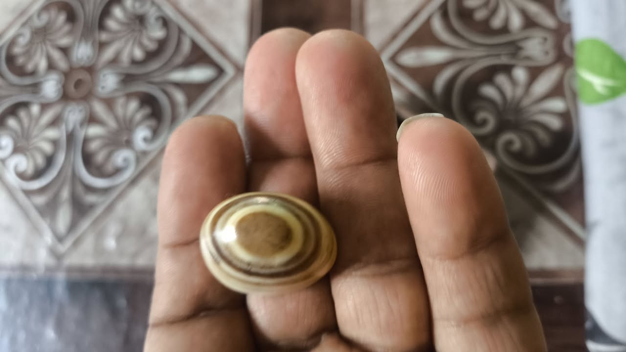 اسلام عليكم حبايب جنايت الاحجار الكريمه 
تحياتي للجميع هاي حجره اسليمانيه كلش قديمه والله واني ظامه بلكنتور والله مانكله ولا اعرف عنه شي  والله الايحب يقتنيه بلعافيه بس حجره كلش حلؤؤؤ 
مكاني كربلاء


**إذا كنت صاحب هذا الإعلان وتريد حذفه لأي سبب، رجاءا أرسل رسالة إلى الدعم الفني**