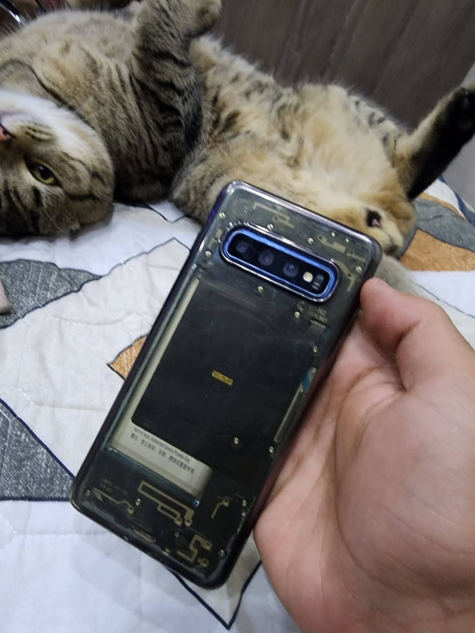 سلام عليكم
سامسونك S10 العادي امريكي
ذاكرة 128
فقط سيمكارت ما يشتغل ومابي ظهر 
وغيرها ماكو الجهاز كلش حلو وبطاريته تطول مو من هاي التعبانة.
السعر ١٠٠
*********** بغداد حي المواصلات الشرطة الخامسة
توصيل ماكو
