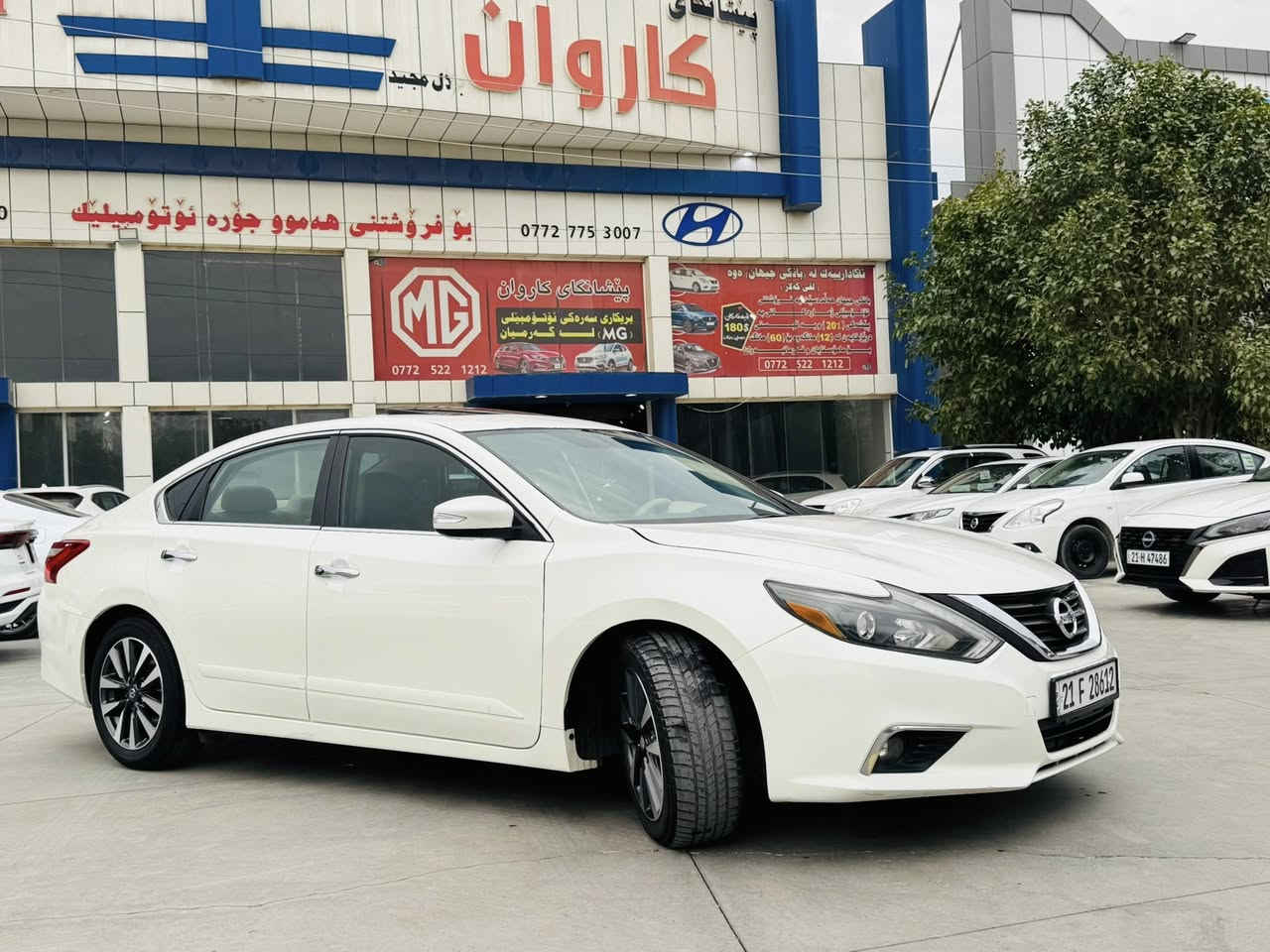 ‏‎‏
‏‎‏﷽🧿

التيما ٢٠١٦

موصفات SL

فول فول 

تةنها يةك چاملغي پيشي لاي ساية ق بوياغة بي ناو گرتن 

دوو جيي بچوك ساردي هةية 

مواصفاتي ناو زةردة 

كوشن جلدة 

كوشن هيتةرة 

دو كوشني پيشي كارةبايية 

سيستمي سماعةي Boos

اوينة ايشارات

شاشة گةورة 

سلايت 

رةقةمو سةنةوي تازة سليمانية 

گيرو مةكينة بيلاد بةشةرت نةگوراو نة كراوة 

نمونة لة جواني 

موشتةري تيل بكات 

***********
