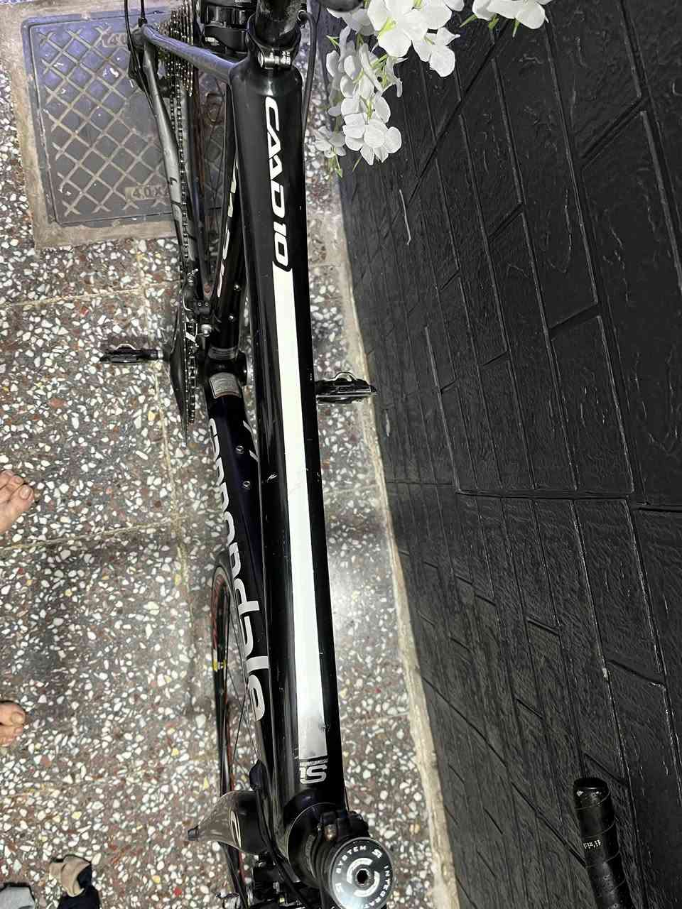 كانندل موديل كاد 10الموصفات
كروب سيت شيمانو 105  2/11 r5800
الصنية r7000 ويالة كوزمك بلاديات 
تايرات برجستون الماشة كاربون 
ارتفاع الفريم 52 السعر خاص 
مكاني بغداد الشرطة الخامسة سويب
***********
