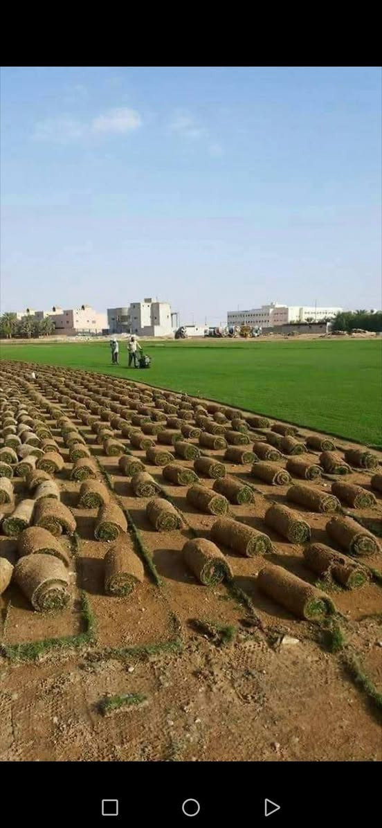 @إشارة اليوم جمعه تم تخفيض سعر الثيل جمله مفر سعر المتر المربع والصل للبيت او للمشتل (2500) دينار توصل مجاني للحجز والستفسار التصال *********** وتساب ماسنجر باداره حمودي الرملاوي
