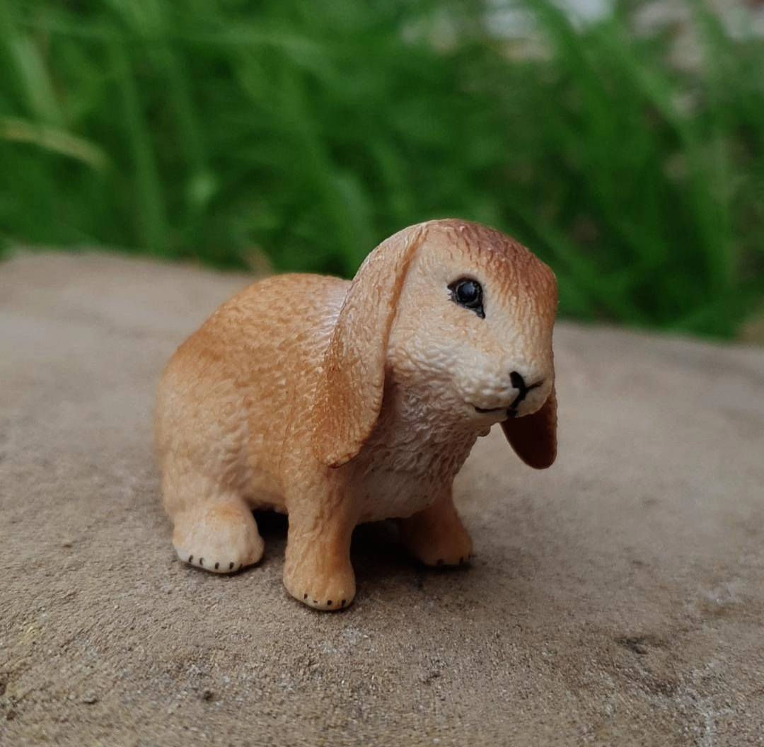 شلايش 
اي قطعه سعره 5 🌱🤍


**إذا كنت صاحب هذا الإعلان وتريد حذفه لأي سبب، رجاءا أرسل رسالة إلى الدعم الفني**