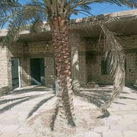 ابو الخصيب ابو كوصرة • ١٨٠م • ٢ غرف
