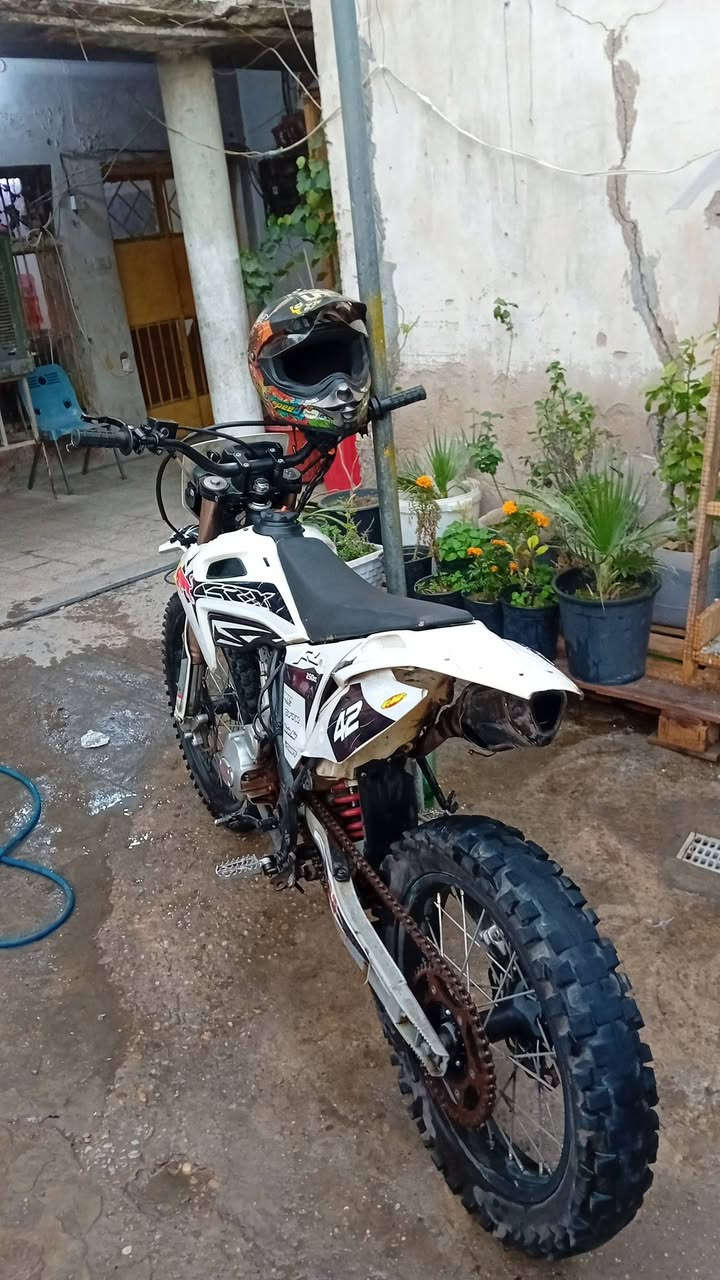 السلام عليكم شلونكم شباب قفاز للبيع او مراوس بعدله مزوده لو سكنس جبلي مزوده الدراجه تخل مديل ٢٠٢٥بس يرادله ترتيب بصيط سعرها مليون


**إذا كنت صاحب هذا الإعلان وتريد حذفه لأي سبب، رجاءا أرسل رسالة إلى الدعم الفني**