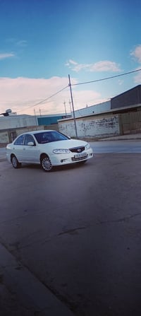 سنى • ٢٠١٠ • كركوك