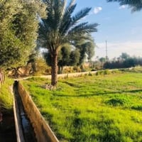 الشيخ عامر التاجي • ٢٠ دونم • ماء وكهرباء