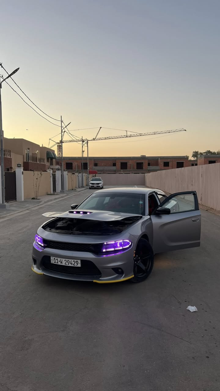 اللهم صل ع محمد وال محمد
النوع: Dodge Charger
الموديل 2016
المحرك 5.7 RT 
فول ع الفتحه 

كفاله المحرك ولكير والاكسل ادامه قبل فتره

الضرر بنيد فقط 
بيه مكانات بارد بسيطه 3 بدون قطره صبغ
بدون دواخل بدون لغود بدون شواصي🛑

عداد المسافات 113 الف فقط حقيقي 

السياره عليها تفريغ كامل 
1 دبل اكس بايب 
2 دوم بايب 
3 وسطيات اكس بايب 
4 دبات كورسه ريمونت🚫

غرفه سياره جديده مدوشمه بلكامل 
مع الدشبول كنتاره كشنات حضن  

تخم تاير جديد 
لد امامي متحرك متغير ع تلفون 

شفتات ستيرن 
شاشا كبيره
كشنات تدفئه
ستيرن تدفئه
دواخل كاربون فايبر بلكامل 
السياره مبولشه قبل سبوع 
عليها ادامه كامله 
سياره بدون قطره صبغ البنيد تحديث الياف تخفيف وزن 
ويل نجمه 🌟 خسفه قويه تو سايس اصلي مو تجاري

رقم بغداد الجديد تحويل مباشر رقم مميز مرتب 
سياره ممتعوبه مثل البقيه مداخله اي استعراض 
منضومه زنون جديده نضام ترحيب تلقائي 

نضام انكاس الايت العالي للمري الوسط ولجوانب

للاستفسار السعر 185
 *********** بي واتساب

