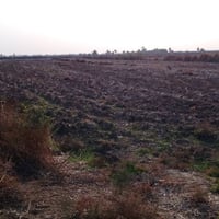 ارض زراعيه • مكان العواد