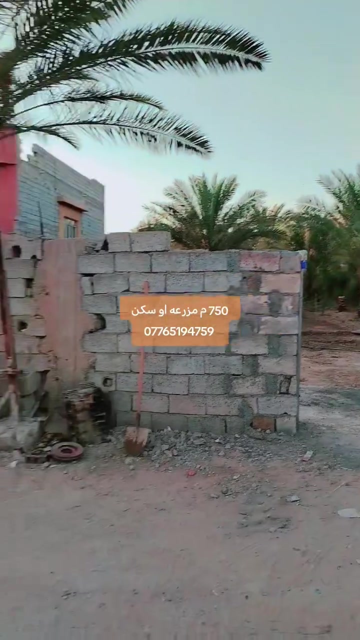 السلام عليكم
750م سكن او مزرعه
الموقع بغداد الراشديه بالقرب من البحيره
للأستفسار
***********
***********
