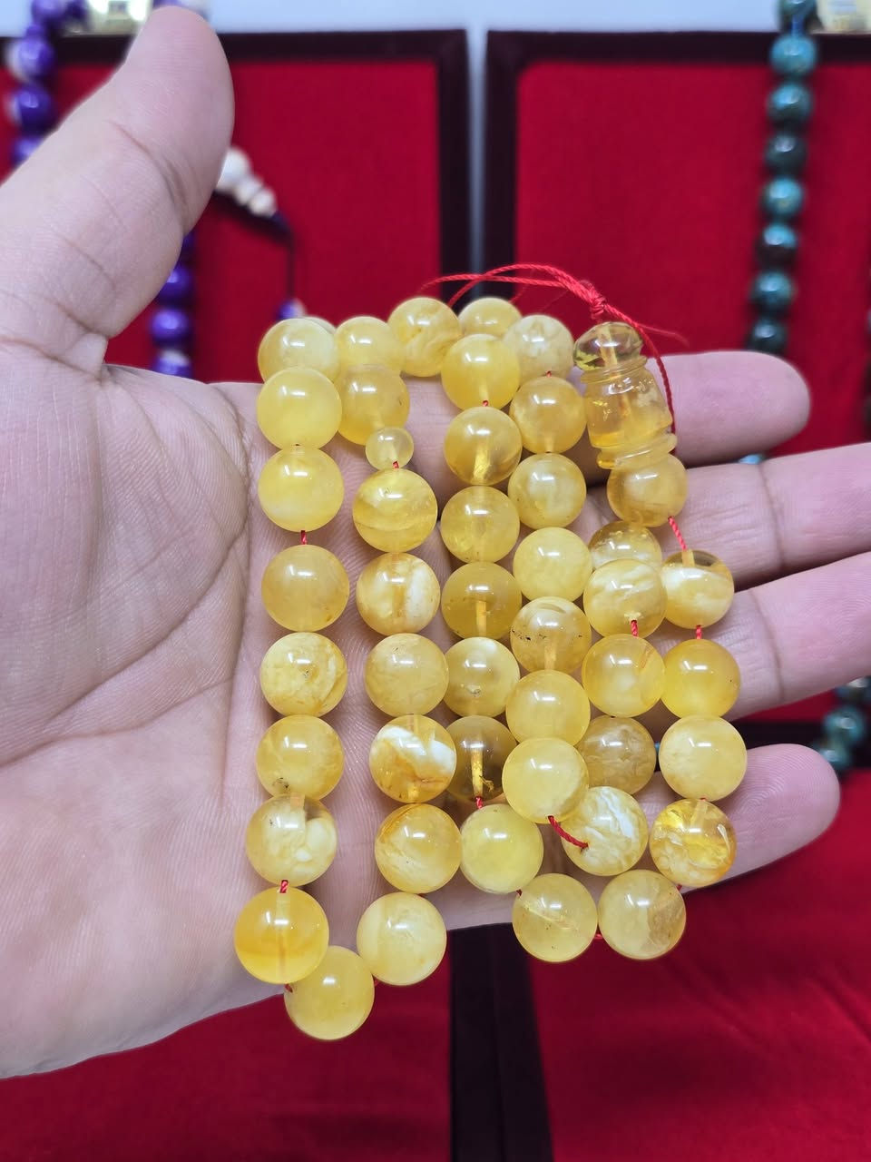 يا الله
مجموعة سبح كهرب بلطيقي حر بقصات واحجام مختلفه
اي قطعه تعجبك تفضل واتساب *********** انطيك تفاصيلها
