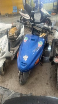 فراشة • ١٥٠ • تعمير