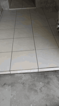 خلف سيراميك
شغل نضيف وعل ضمان 
عل متر ويوميه 
ابي الخصيب 
***********واتساب
