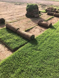 ثيل تجهيز جميع المدن  للاتصال 07801805526//07723695433