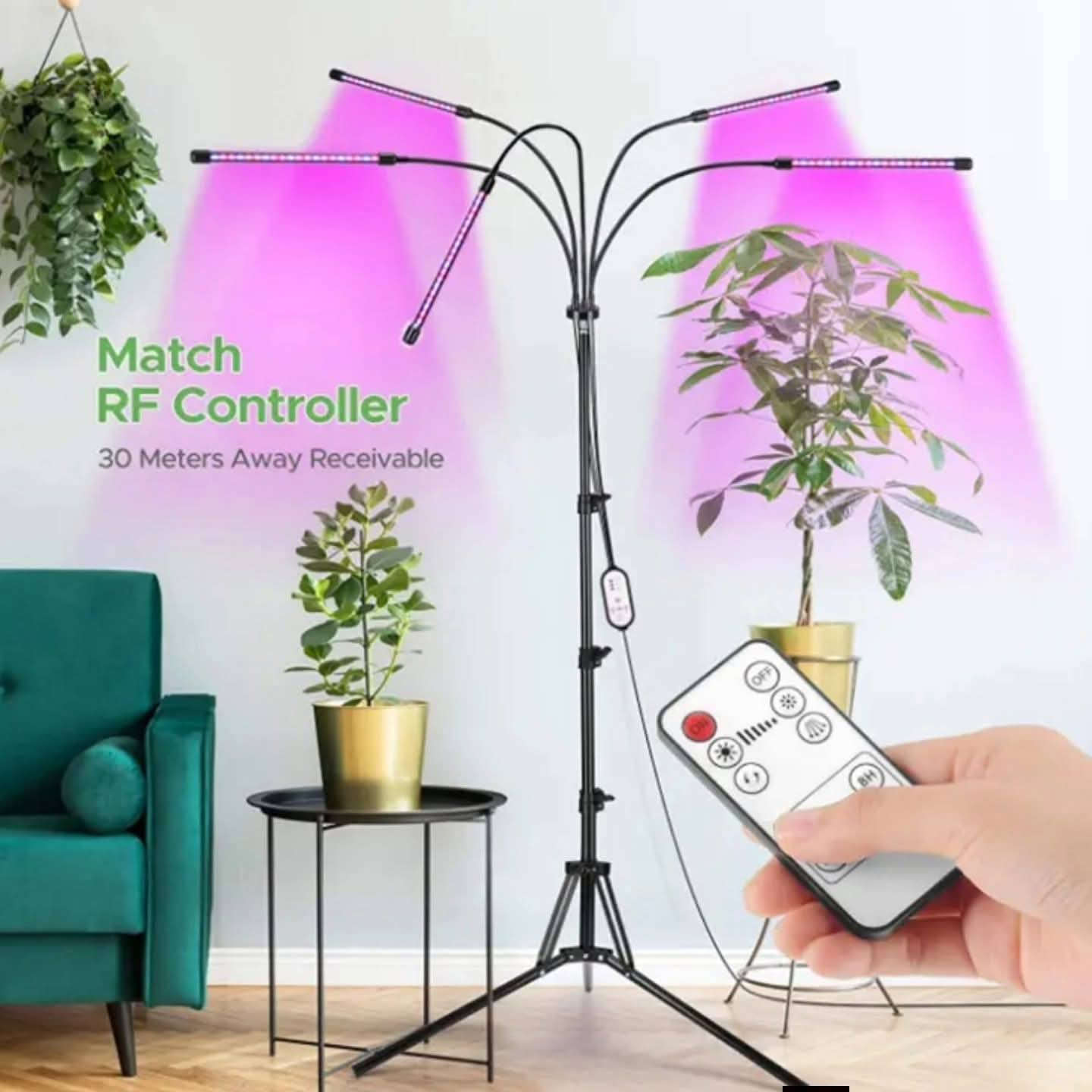 السلام عليكم متابعينا 🤍.
انارة مخصصة لتحفيز نمو النباتات الداخلية 🪴🪴🌷
 
اللون الاحمر يساهم في تعزيز النموا الطبيعي والازدهار🌷🌷🌼🌼

الازرق يساعد على نموا الجذور والاوراق وتوفير الكلوروفيل🪴🪴🍀🍀

الاحمر & الازرق معاً يخرج لون بنفسجي
وهو يساعد ويسرع في النموا الطبيعي الكامل للنبات 🌲🌲🌳☘️🍀🍀🍄

ملاحظة مهمة ( كل قطعة  تحتوي على جهاز تحكم عن بعد ريمونت كونترول وكذلك محولة خاصة بالجهاز )
ثنائية قراصة ريمونت كونترول 15 الف 
ثلاثية ريمونت كونترول مع ستناد20الف 
رباعية ريمونت كونترول مع ستاند 25 الف 
🍀🍀🍀☘️🌳🌳🌳🌲🪴🪴🍄🍄🌷🌷

📍 متوفر توصيل لجميع محافظات العراق 🚗 🚗 
📍 العنوان:بابل/ محاويل.
📍 للحجز والاستفسار يرجى مراسله الصفحه او مراسلتنا على واتساب من خلال الرقم:
***********
