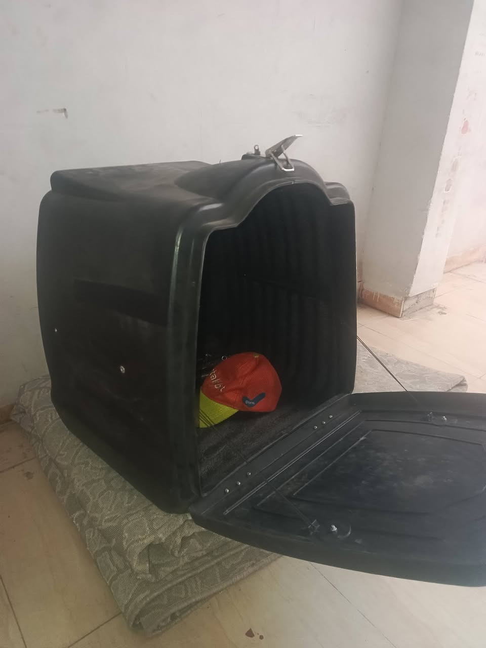 صندوق دلفري جديد استعمال اسبوع سبب البيع تركت شغل كامل هوة والراسطات الي تثبت الصندوق والسبرنگ الاصغر منه البلاستك سعره بالسوگ 60 الف هذا سعره 40 الف مستعجل على بيعته ويوجد توصيل داخل اربيل فقط 
*********** واتساب
