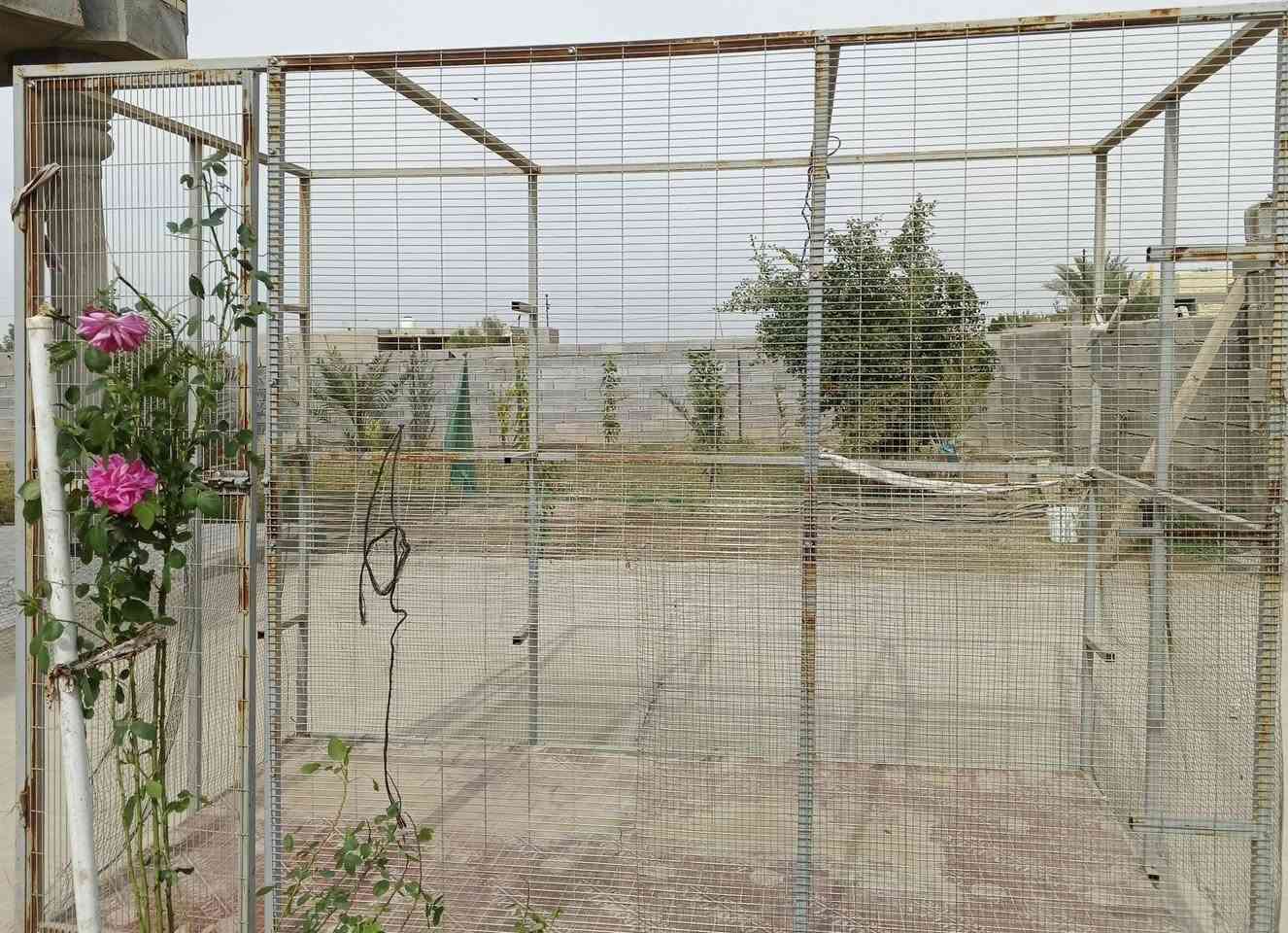 سلام عليكم قفص للبيع سعر خاص او الاتصال ***********
