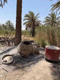 ٢٠ دونم • طابو زراعي • نخيل متنوع