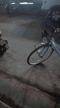 للبيع البايسكل كامل كير وحساس لون مميز البايسكل كامل من كلشي السعر ٧٥ ...