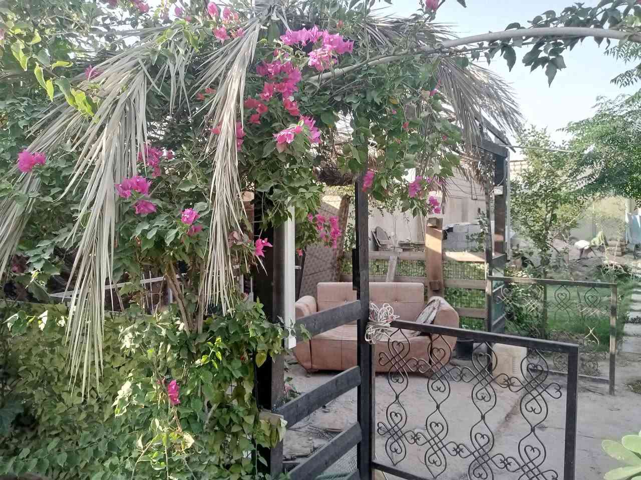 السلام عليكم فرصة استثمارية مزرعة مساحتها الكلية 1800 المساحة المسجلة بالسند 1500 سند 25 منطقة سكنية بيها انواع فواكه ومخضر على شارعين تحتوي 3بيوت مساحة 400م بناء حديث مسبح محميات جلسة كراج عدد2 تريدها سكن وتأجير هم ترهم مكانها كرغولية شارع ملايين بداية جسر ديالى تبعد عن بغداد الجديدة وزيونة 12 دقيقة ....
ملاحظة مهمة سعر المتر من 400الى 350 الف فارغة بدون بناء فأحسب وتأكد قبل لا تتصل علما المزرعة راح يصير أمامها خط سريع يعني اصير ع شارع عام  ويصعد السعر مضاعف بالخير ع الياخذها البيع لأسباب خاصة استفسار اكثر الاتصال ع الرقم ***********
