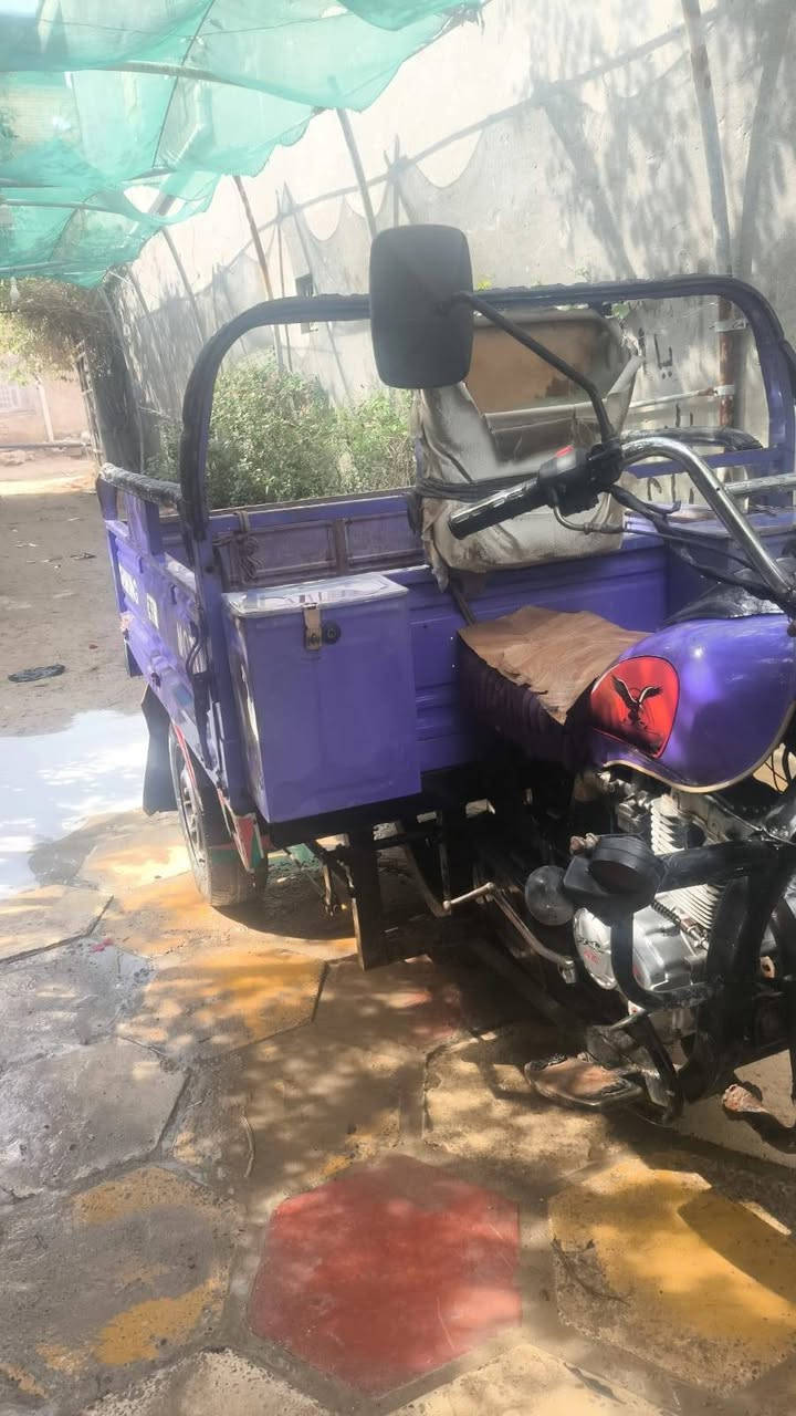 السلام عليكم ستوته للبيع جمرة موديل 20 أوراق الستوته مجفته مرا وحده السعر مليون ٣٥٠ بيها مجال للطيبن مكاني القرنه رقم الهاتف ***********
