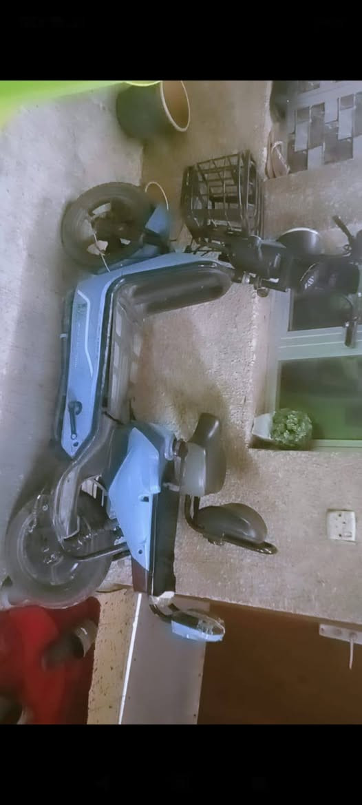 سلام عليكم دراجه شحن حجم 14 للبيع لايت اشاير بطاريات ما بيهن شي يرادلهه بس اشاير اليوره بيهه شاحنه السعر 200 وبيهه مجال العنوان مال بيت  عنوان بغداد البياع    شهداء البياع رقم الهاتف 0774789703


**إذا كنت صاحب هذا الإعلان وتريد حذفه لأي سبب، رجاءا أرسل رسالة إلى الدعم الفني**