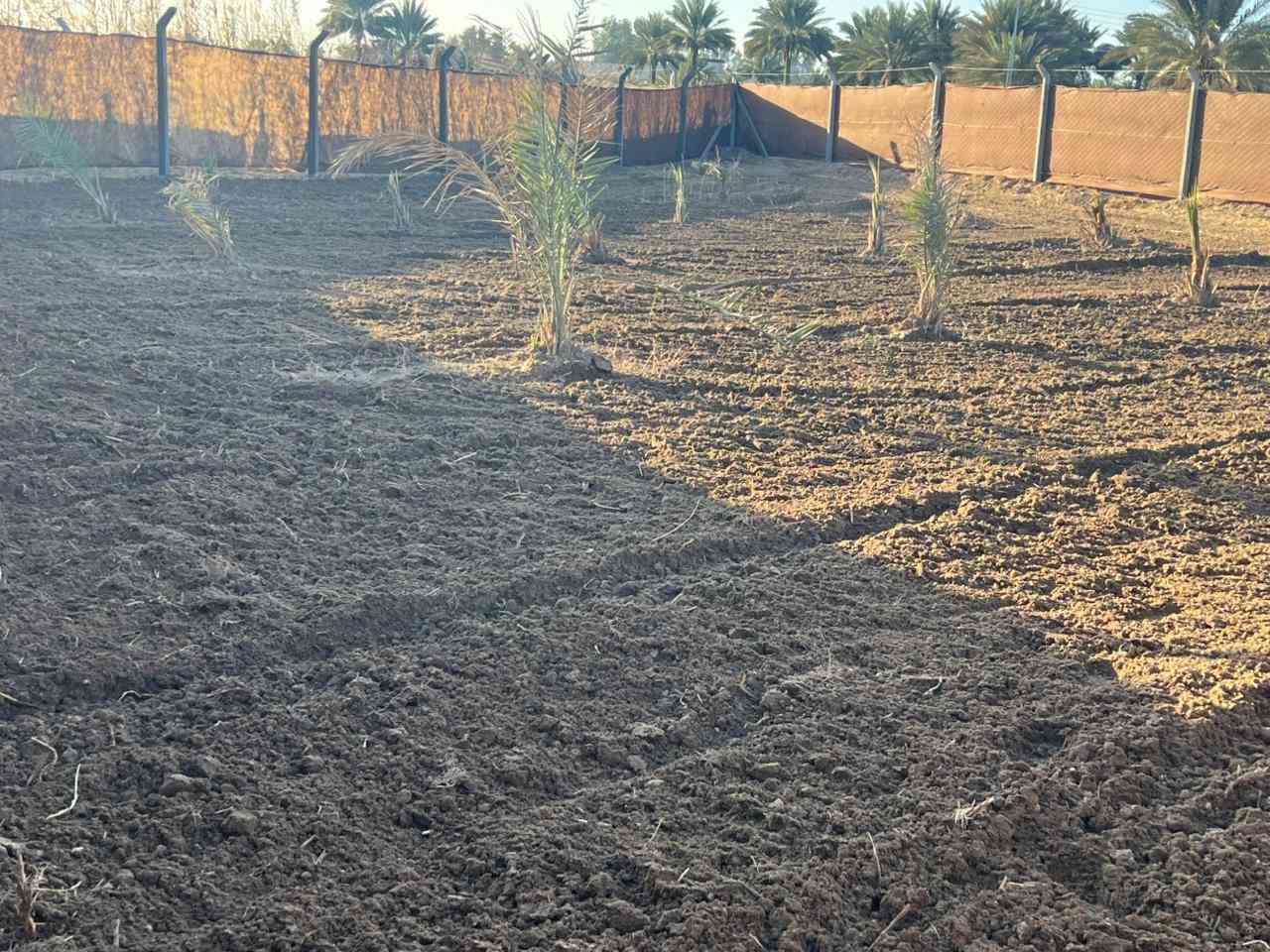 500 م بسعر 35 مع المجال
نص دونم ب 75 مع المجال 

✅ اراضي للبيع في كربلاء جة باب بغداد بدايه طريق الچماليه قرب منتجع الرحمن  

✅ كافه الخدمات  مباشر علئ التبليط  
 
✅سند 25 تحويل مباشر  بأسم المشتري 

✅( تبعد عن  ألامامين عليهم السلام 8 كيلو )

✅✅خدمات كامله تبليط 10 متر/ماء /كهرباء  /الارض مباشر علئ التبليط   
للاستفسار ....

***********

***********
