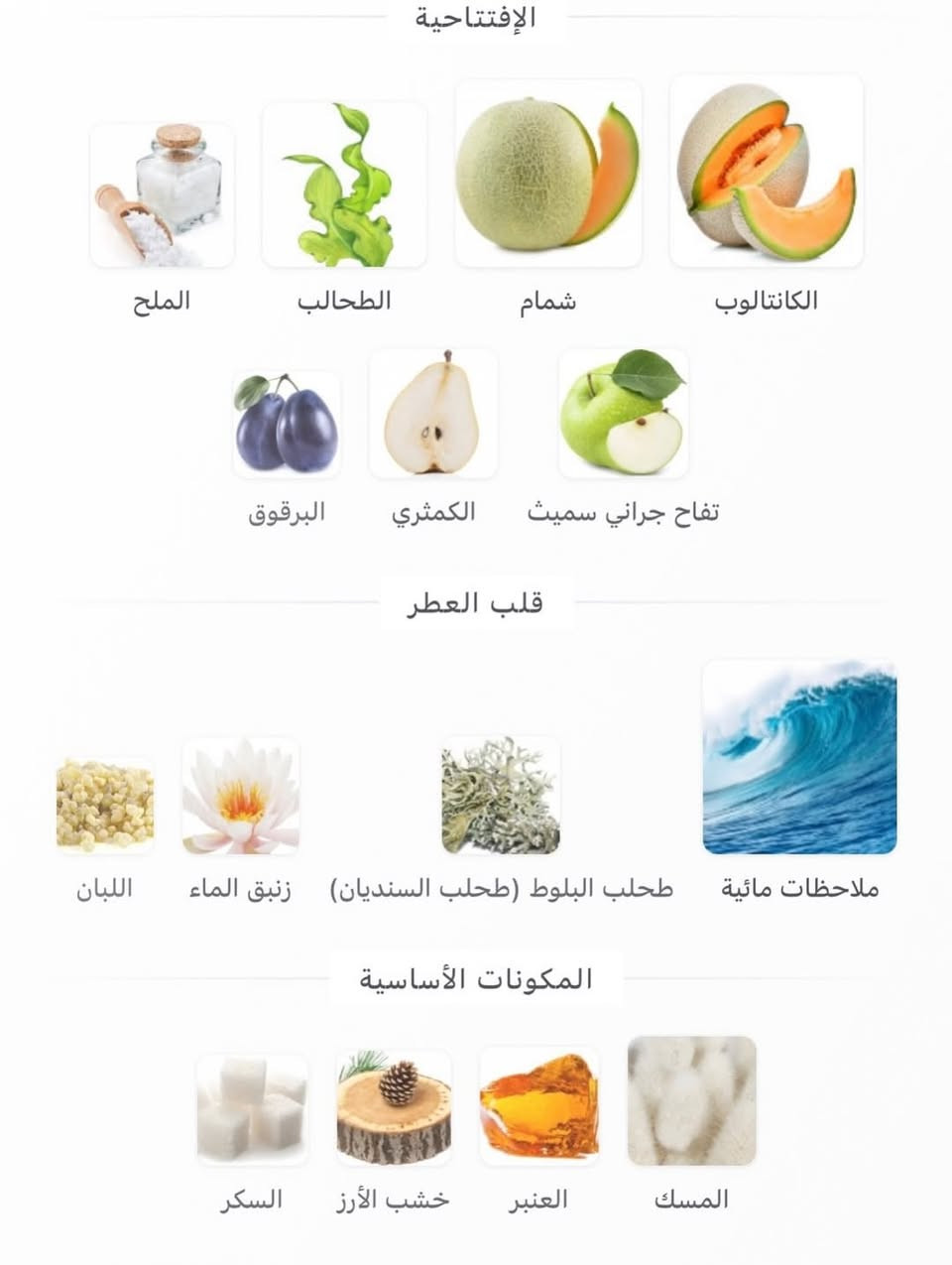 ⁨ Odyssey BA HA MAS Armaf عطر أروماتك - مائي للجنسين. هذا عطر جديد Odyssey BA HA MAS صدر عام 2025. إفتتاحية العطر الكانتالوب, شمام, الطحالب, الملح, تفاح جراني سميث, الكمثري و البرقوق; قلب العطر ملاحظات مائية, طحلب البلوط (طحلب السنديان), زنبق الماء و اللبان; قاعدة العطر تتكون من المسك, العنبر, خشب الأرز و السكر.⁩


**إذا كنت صاحب هذا الإعلان وتريد حذفه لأي سبب، رجاءا أرسل رسالة إلى الدعم الفني**