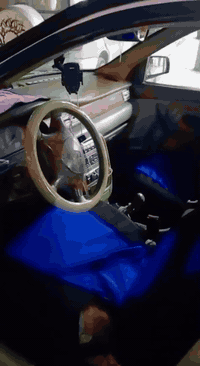 سمت للبيع موديل ١١ سنويه 2029 مبدل بيه باب حداديه أمامي وخلفي سياره ملضومه غاز مكاني واسط مكلف بنشر***********
