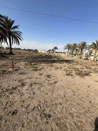 كاع السكندري • ٢٠٠م • طابو زراعي