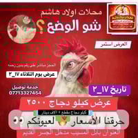 عرض كيلو دجاج • ١٧-٢ • بابل المسيب