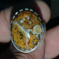 محبس • داودي • قديم جدن