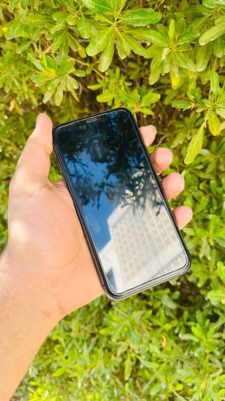 السلام عليكم من رخصة الادمن
متوووفر للبيع
              
📱ايفون 11عادي
🖤 لون اسود 
 💾 ذاكرة 64
🔋 نسبه البطارية 73
📞 تك سيم كارت
فول نضافه شرط مامفتوح ولا بي شخط

الشراي يتفضل خاص لو تصل ويدلل محضور من تعاليق
‏ ***********
