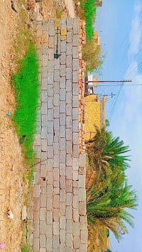 قطعة زراعيه • ٢٤٠م • ركن على شارعين