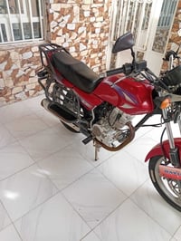 دايون ١٩ • احمر • اوراق اصولي