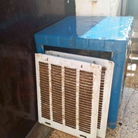 مبرده • شغاله