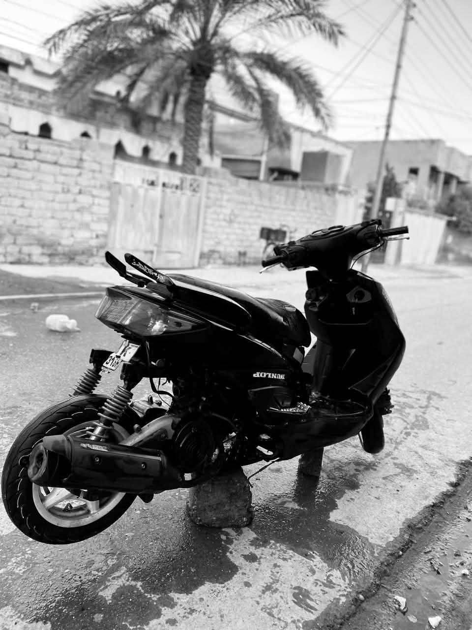 السلام عليكم دراجه سكنس فحل دراجه طافيه يرادلها ضفيره اجفيت جديد السعر 300 وبيه مجال رقمي ***********
