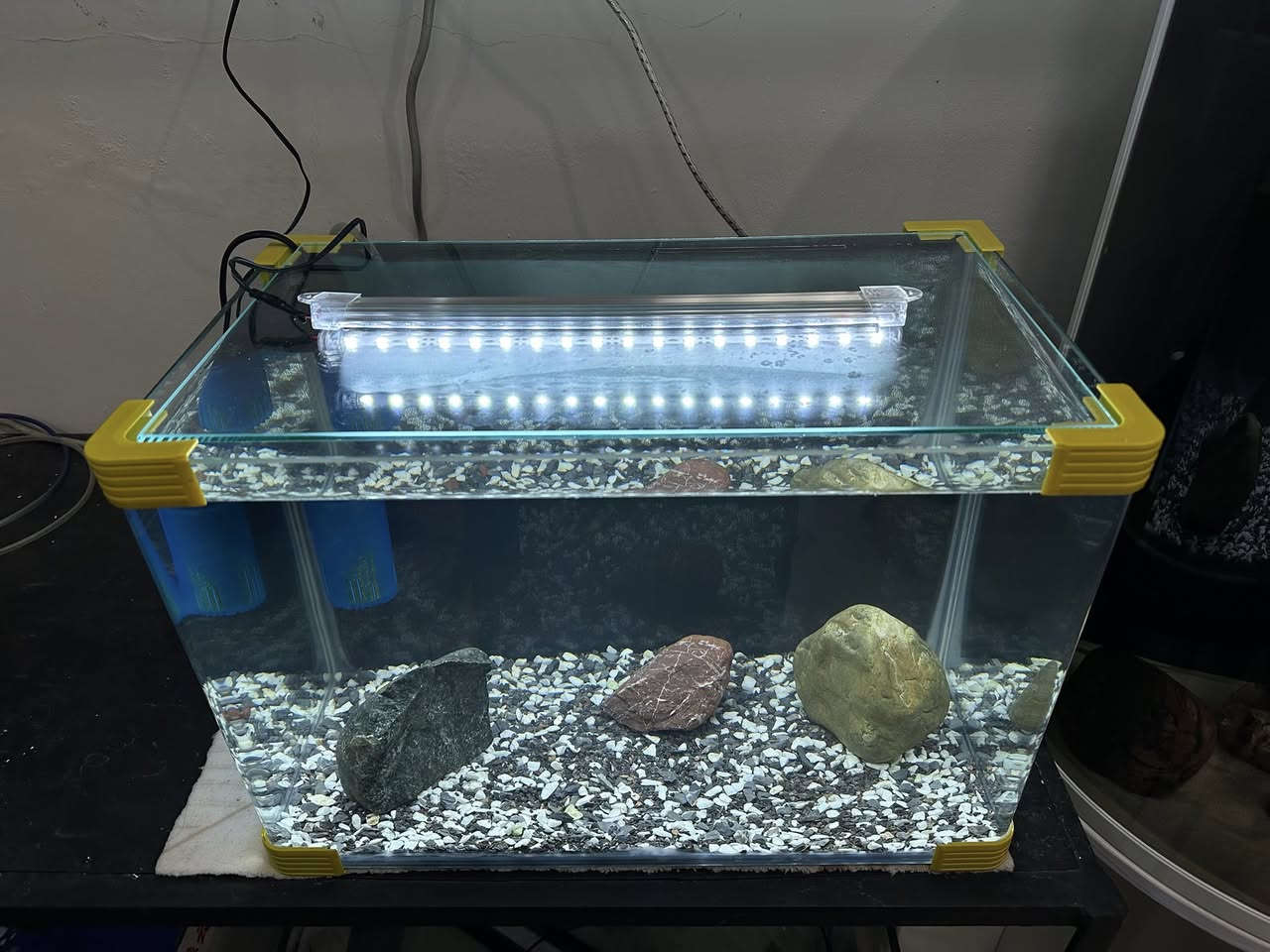 بە كاملی نرخی بۆتە  ٤٥ هەزار .. داشكانی بۆ كراوە
حەوزی شەریكەی پێش قەوس دیزاین كراوە
لیدێكی سپی لەگەڵە
سەقفی شوشەی شەریكەی خۆی لەگەڵە
فلتەری ناو حەوزی لەگەڵەو هەمیش ئۆكسجینە
 بنی حەوزەكە بە بەردی هاڕاو  ڕازاوەتەوە
٣ بەردی گەورەی  لەگەڵە وەك دیزاین
پشتی باگراوندی ڕەشی لێدراوە
قیاسی درێژی ٤٥ سم بەرزی ٣١ سم پانی ٢٦ سم
_______________
ئەوەی ویستی نامە بنێرێت لە واتس ئەپ یا ڤایبەر 
***********
گەیاندنمان تەنھا بۆ ناو سلێمانی ھەیە
