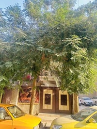 بيت للبيع مساحه 110طابقين ثلاث غرف نوم كراج واستقبال وحولي وغرفه بالطا...