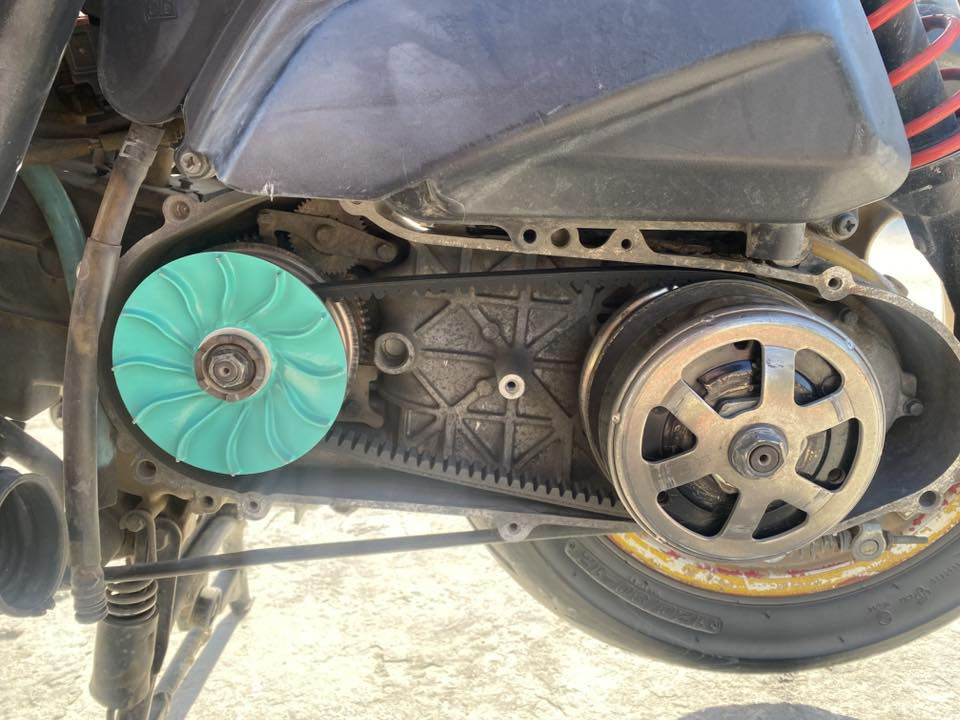 تزويد سكنس جبلي للبيع كله أصلي مكاني بغداد البياع كلمن وسعره راسلني ودلل ***********
