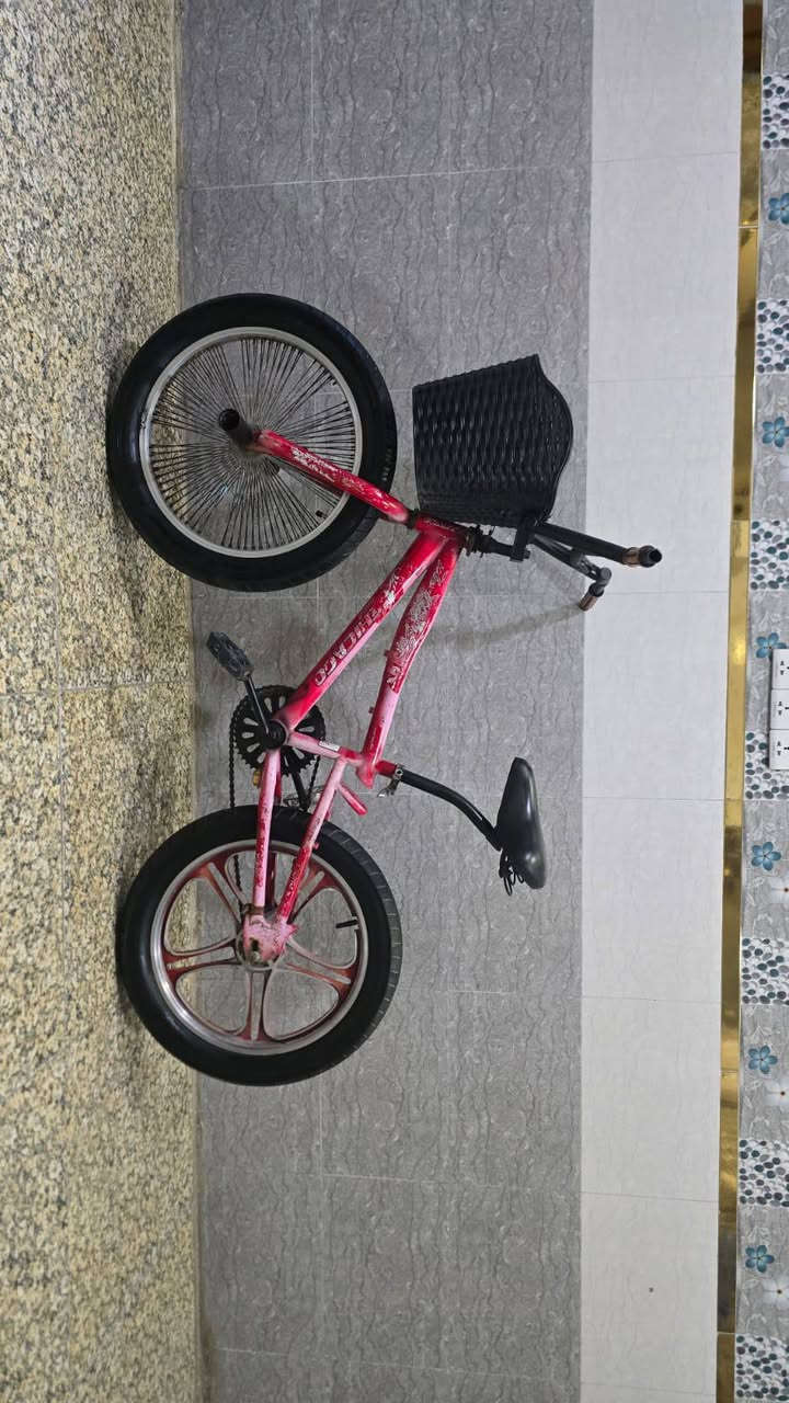 متاح
بيسكل BMX  (بي أم اكس) البريك بالبايدر للخلف السعر (40) الف بي مجال / بغداد العبيدي
هـ  ***********
لايوجد توصيل
