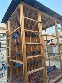 قفص جديد ممستعمل07710910318مكان بغداد