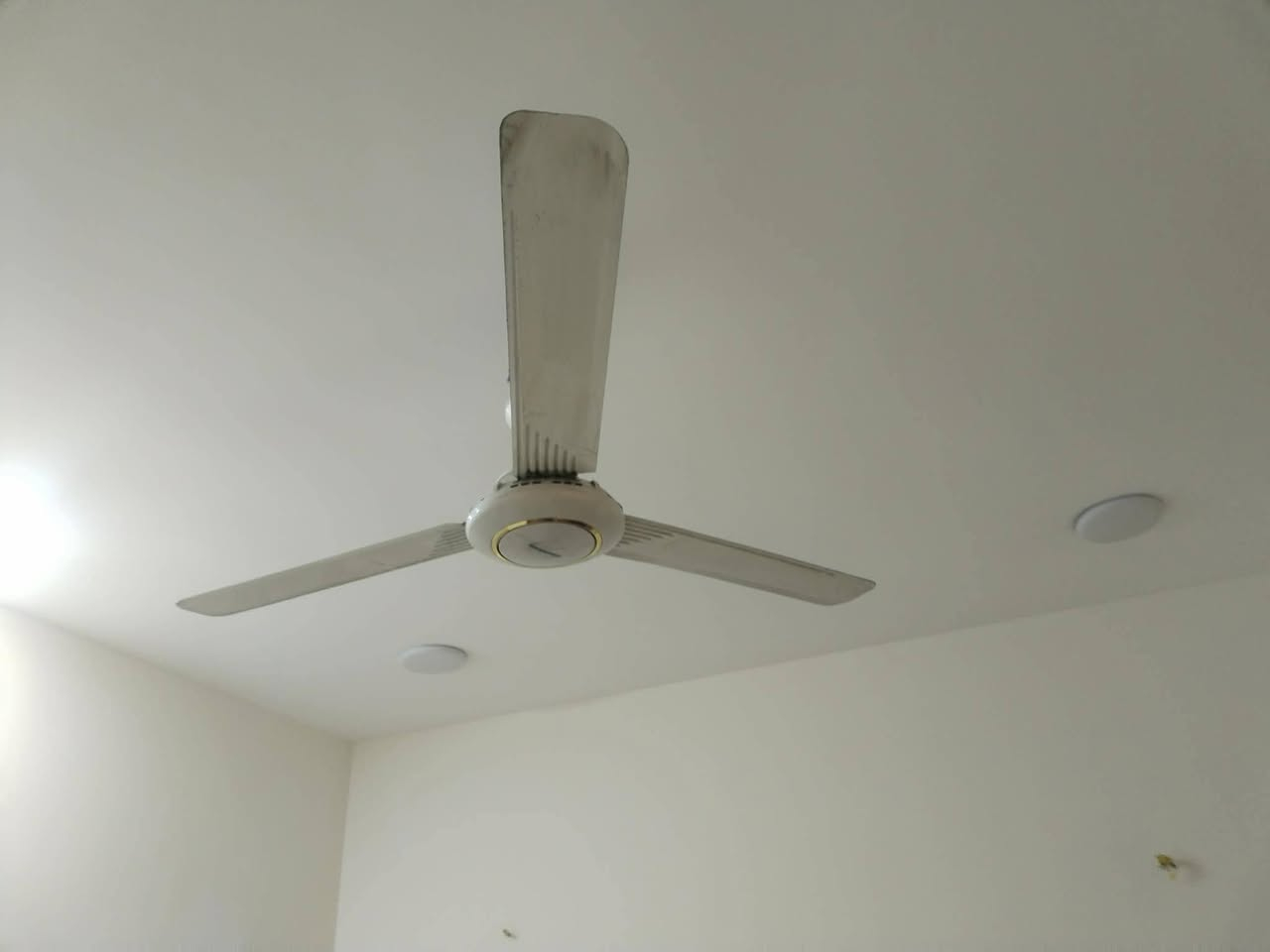 بيع لكل مستعجل مكان لدوره


**إذا كنت صاحب هذا الإعلان وتريد حذفه لأي سبب، رجاءا أرسل رسالة إلى الدعم الفني**