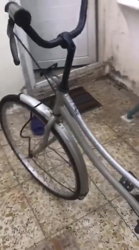 بايسكل بطه ياباني جديد بمدينه الصدر السعر ٨٥


**إذا كنت صاحب هذا الإعلان وتريد حذفه لأي سبب، رجاءا أرسل رسالة إلى الدعم الفني**
