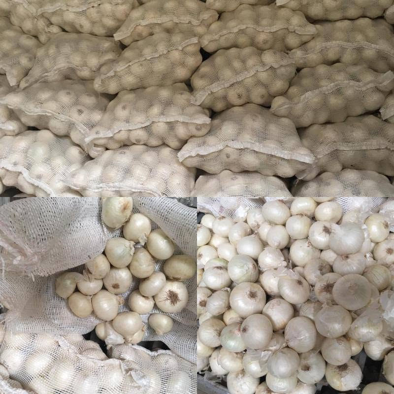 Fresh réd /white /yellow onion High quality from Morocco 🇲🇦


**إذا كنت صاحب هذا الإعلان وتريد حذفه لأي سبب، رجاءا أرسل رسالة إلى الدعم الفني**