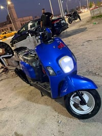 ماكس بوليس • ٢٠٠٨ • بلاديه