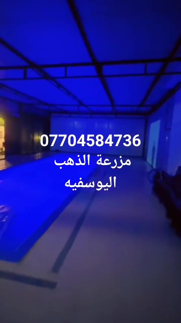 تعلن مزرعة الذهب عن توفر حجوزات طيلة ايام الاسبوع
# موثقه بتطبيق اجرلي
# المساحه دونم كامل
# مسبح كبيرمغلق  مي حار او مفتوح بنفس الوقت
# انتريت ٢٤ ساعه
# كهرباء مولدة كبيره اوتو
# العاب اطفال 
# بليارد
# فيشه
# منضدة
# بلازما قنوات مشفرة
#غرفتين نوم موثثه بشكل ممتاز
# صاله كبيره جدا
# مطبخ كامل 
# باربكيو جميع انواع الشوي
# حديقه كبيره جدا 
# مغروسات كثيره جدا
# تحتوي على بستان حمضيات
للاستفسار والحجز الاتصال
***********
