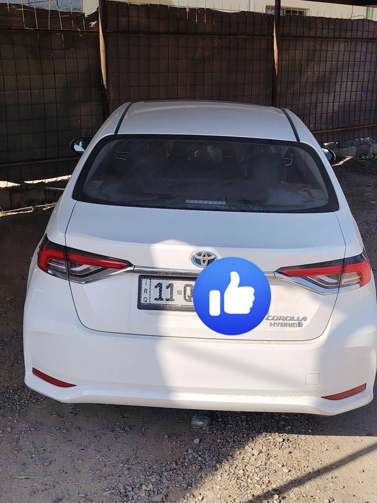 السلام عليكم
كورلا هايبرد
موديل 24
مكفوله كفالة عامه
مكانه بغداد محموديه
التواصل عله الرقم
***********
