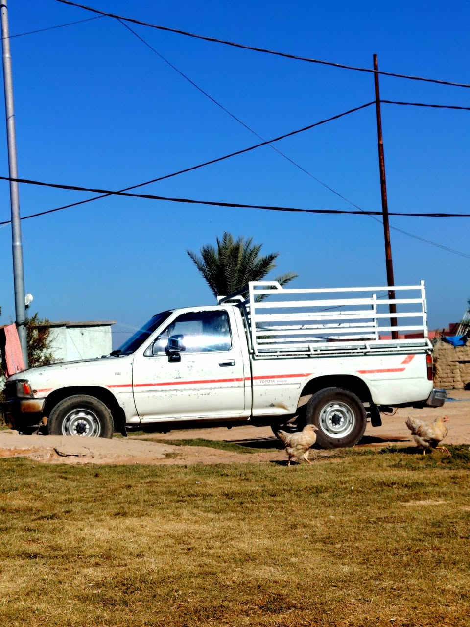 ما بعد السلام بيكم 89 بلادي باور ترايك للبصره محرك كروسيده كير محرك اكسل شرط سنويه لل 28  كابون بنزين هزه جديده رقم دولي صلاح الدين بسمي تحويل مباشر السعر 57  وبيه مجال اتصال عل رقم ***********
