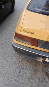 بيجو روا • ٢٠٠٨ • باسمي رقم انكليزي